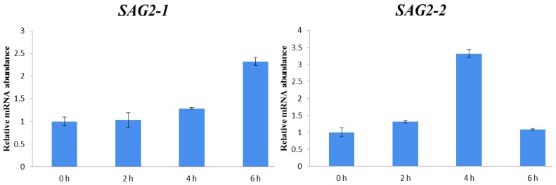 Figure 9