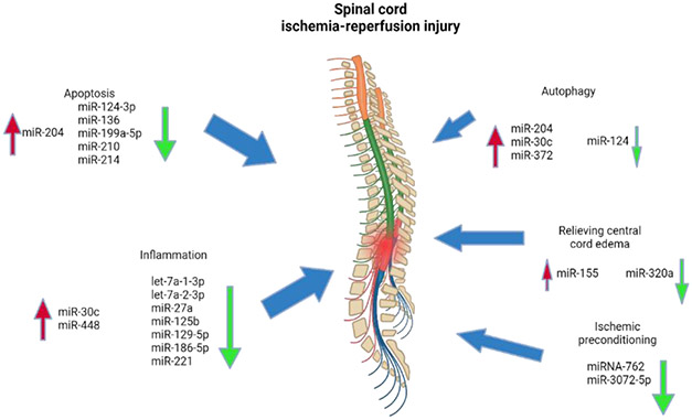 Figure 5: