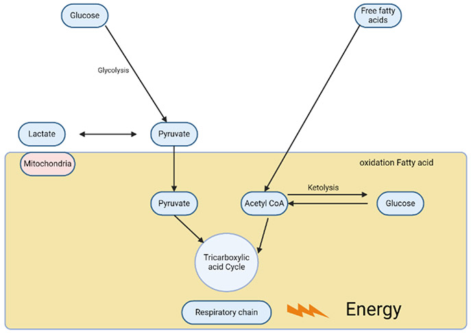 Figure 3: