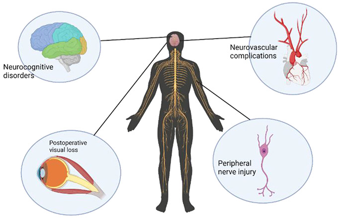 Figure 2: