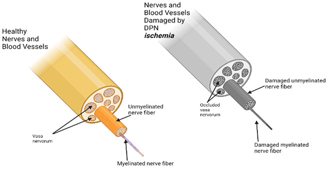 Figure 4: