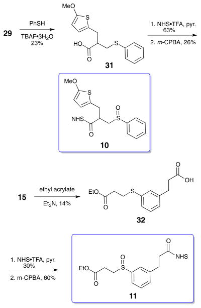 Scheme 5