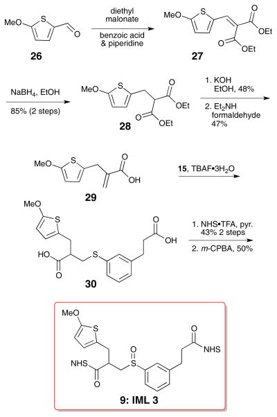 Scheme 4