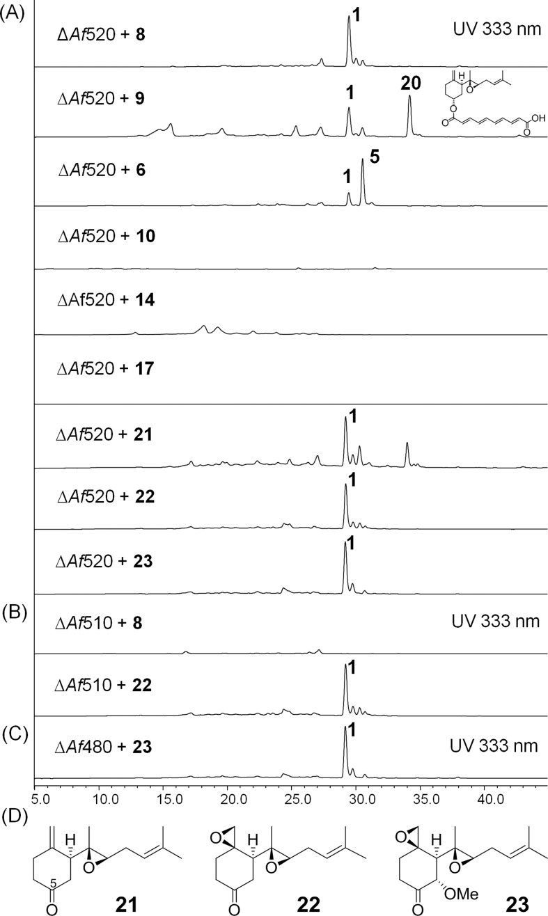 Figure 7