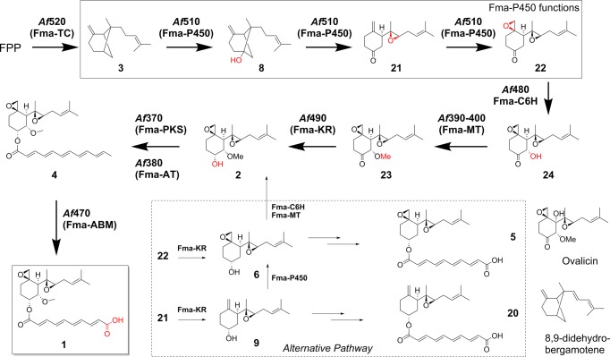 Figure 9