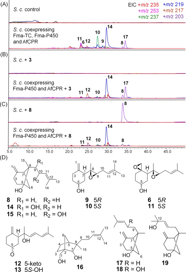 Figure 5