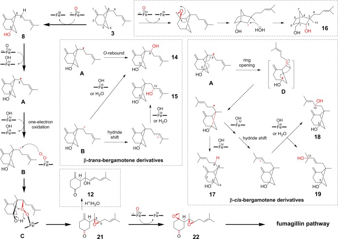 Figure 10