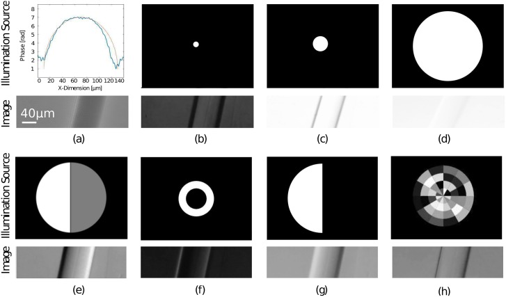 Fig 6