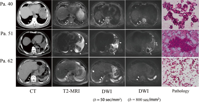 Fig. 5