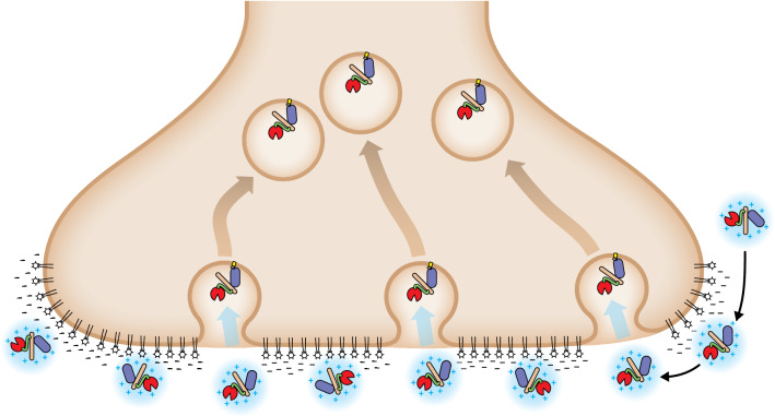 Fig. 1