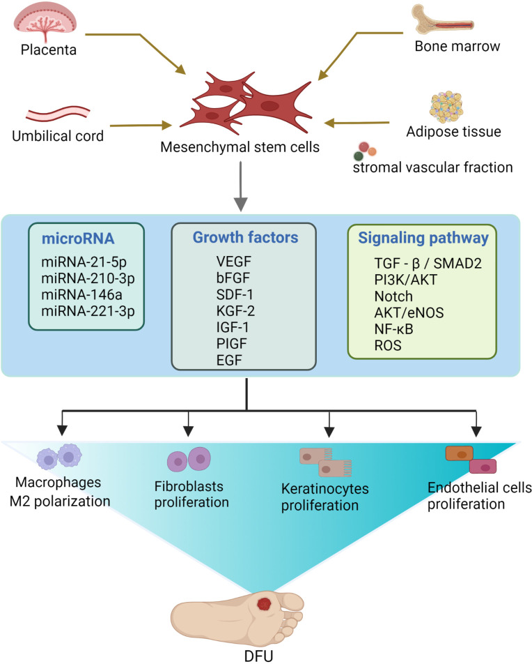 Figure 3