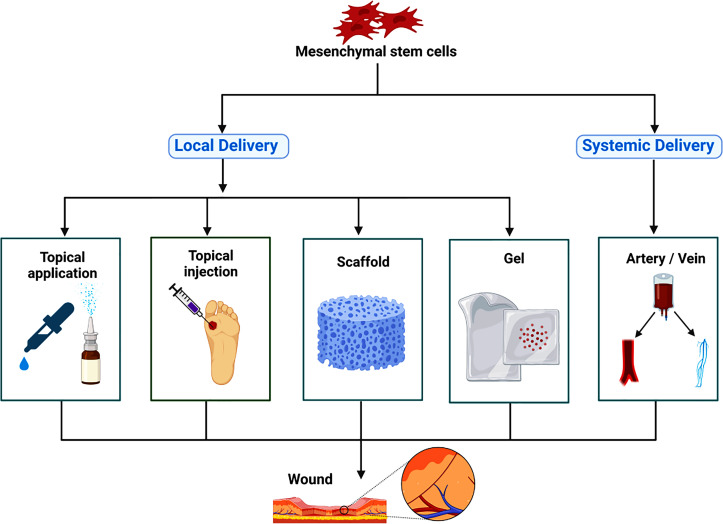 Figure 1