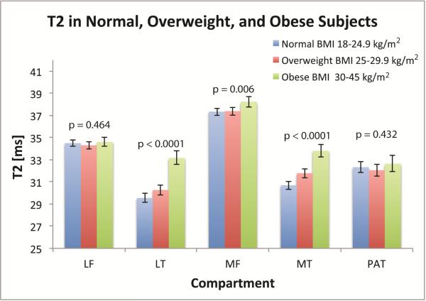 Figure 3B