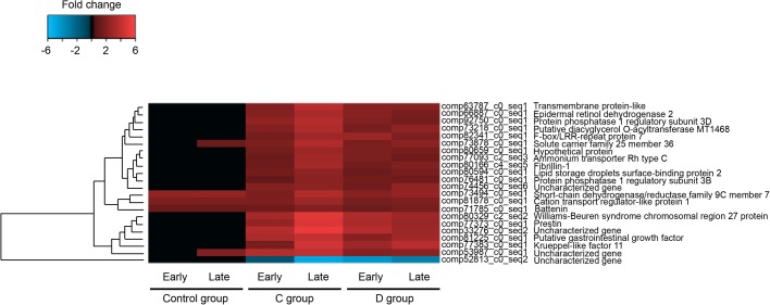 Fig. 4.