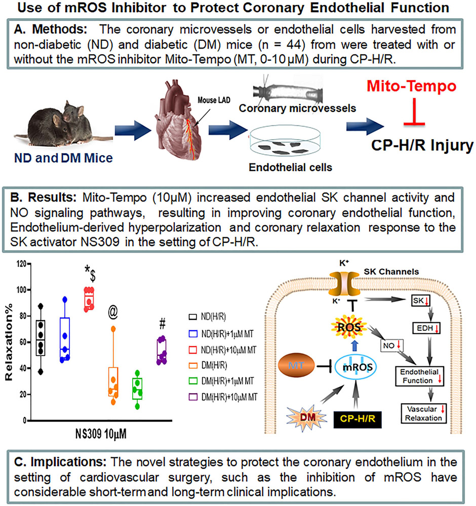 Figure 7: