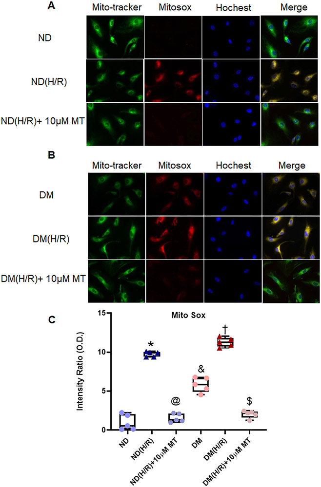 Figure 6.