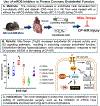 Figure 7: