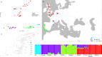 Sample distribution and population structure of western house mice.