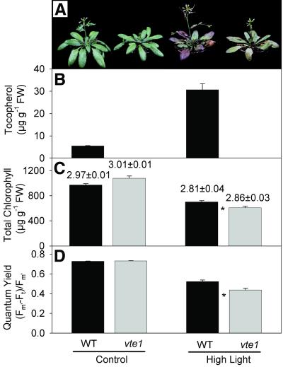 Fig 6.