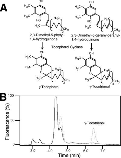 Fig 3.