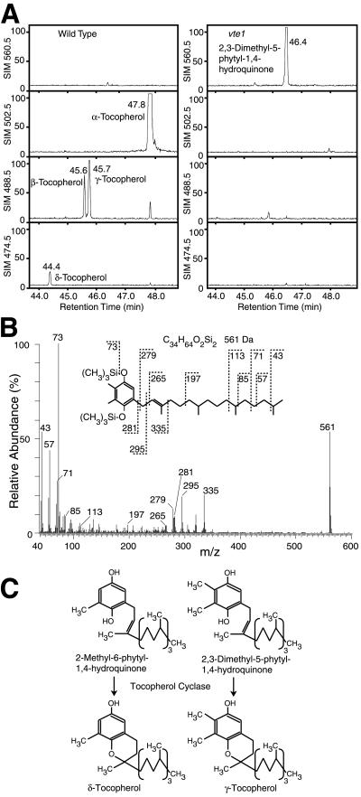 Fig 2.