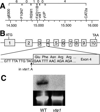 Fig 4.