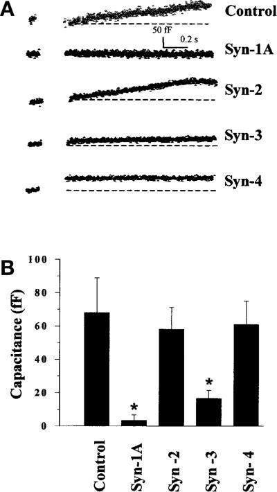 Fig. 3 (A, B)