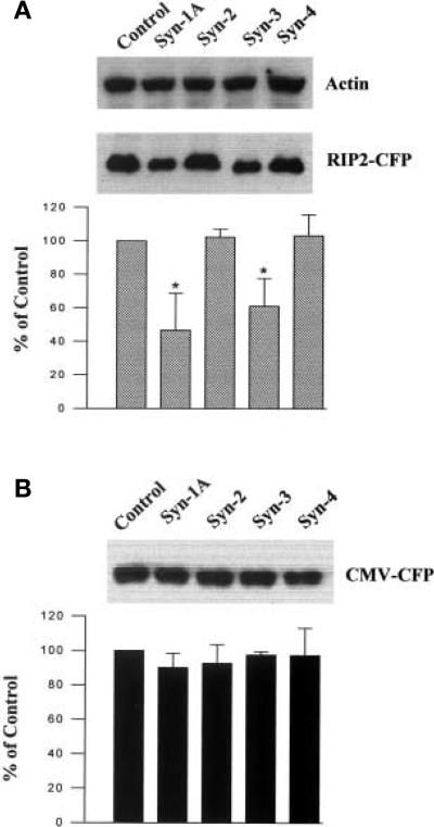 Fig. 6 (A, B)