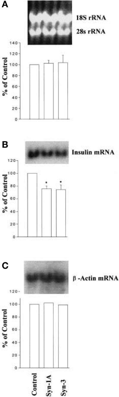 Fig. 5 (A–C)