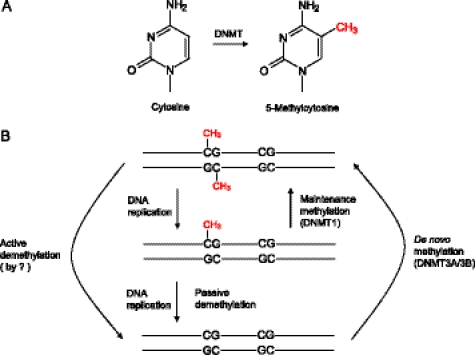 FIGURE 1.