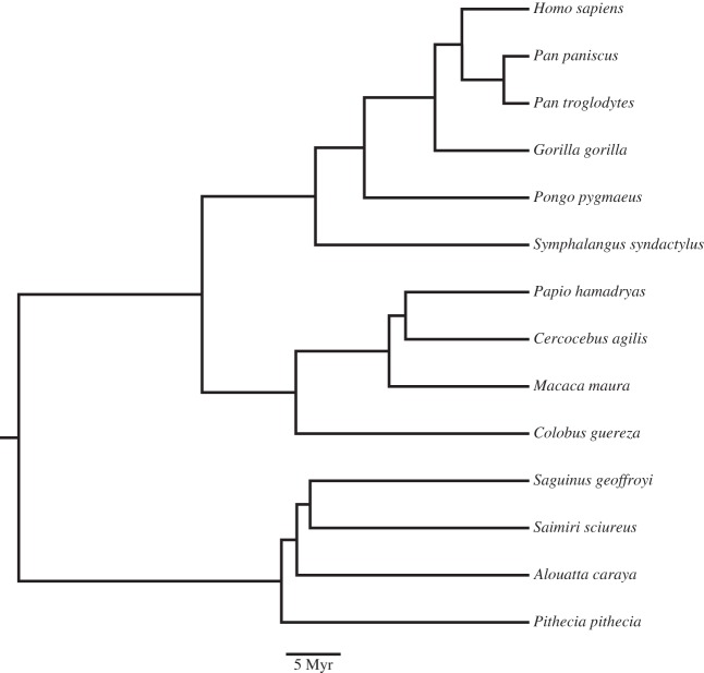 Figure 1.