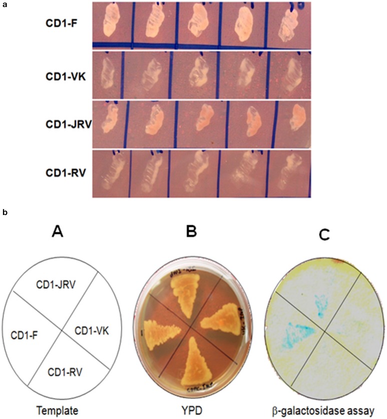 Figure 6