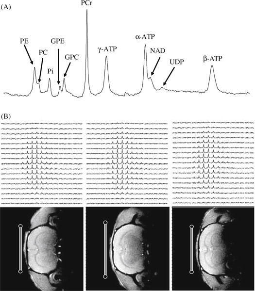 Fig. 15.2