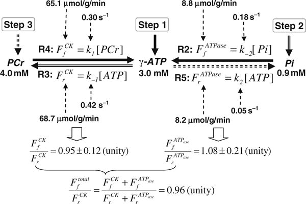 Fig. 15.13