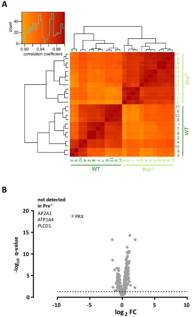 Figure 5—figure supplement 1.