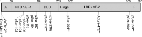 Fig. 9.