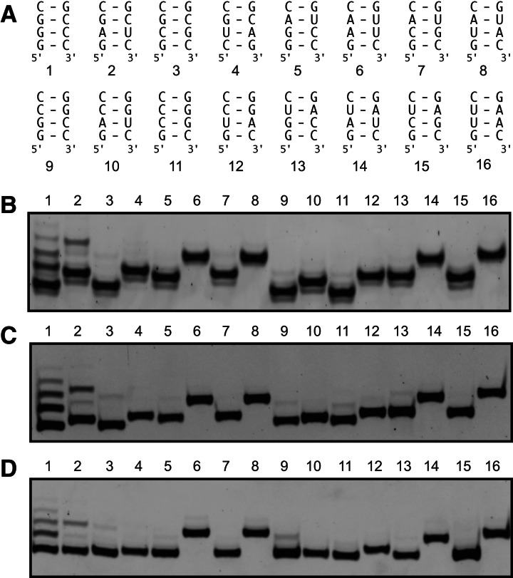 FIGURE 2.