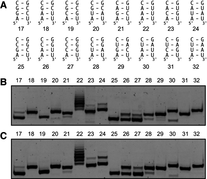 FIGURE 3.