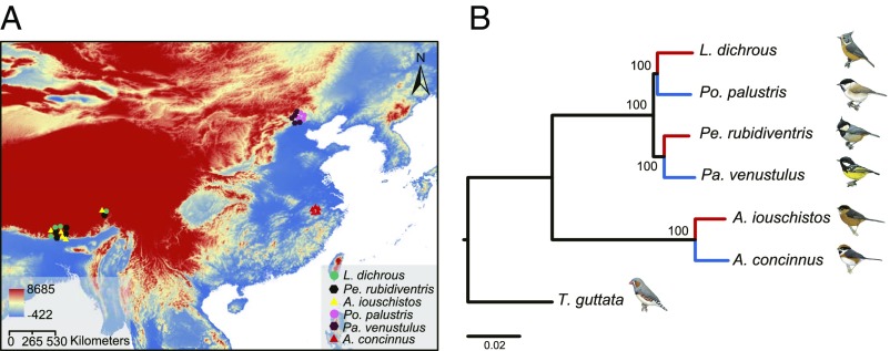 Fig. 1.