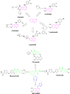 Fig. 1