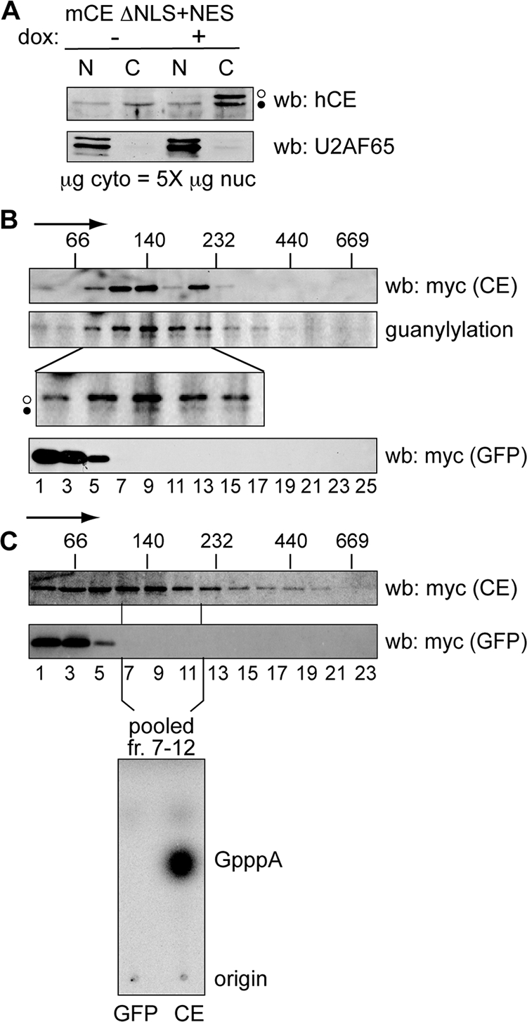 FIG. 8.