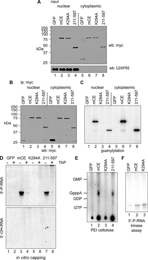 FIG. 4.