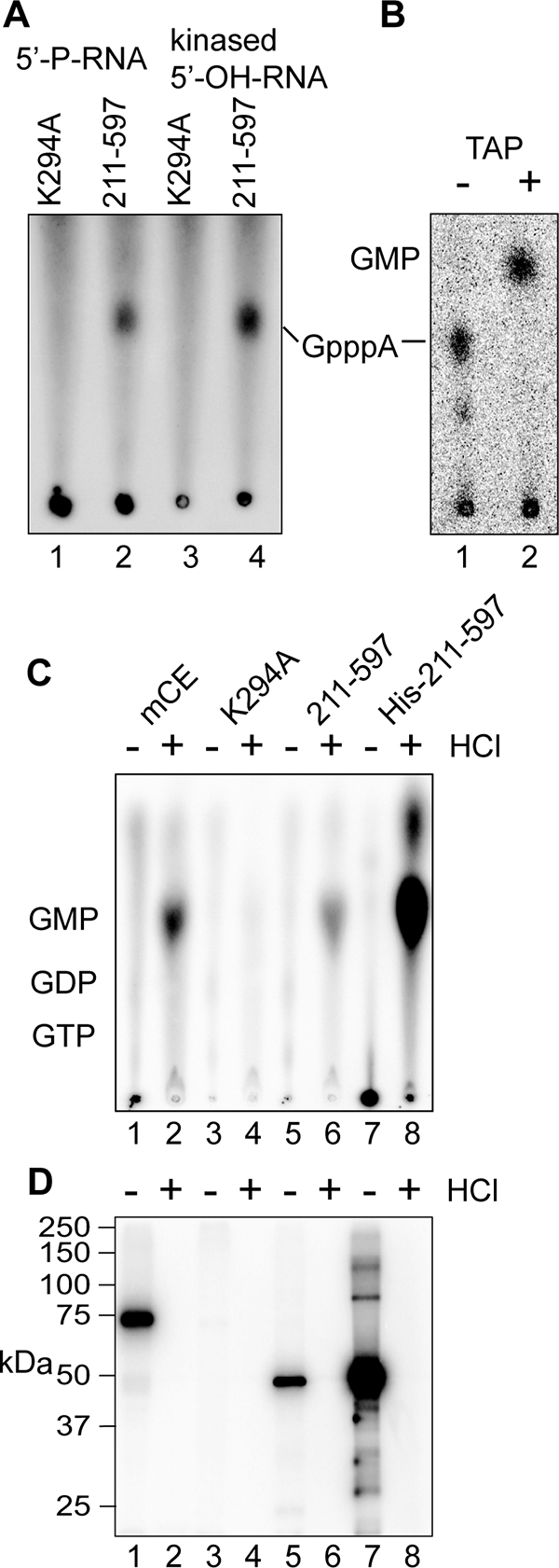 FIG. 5.