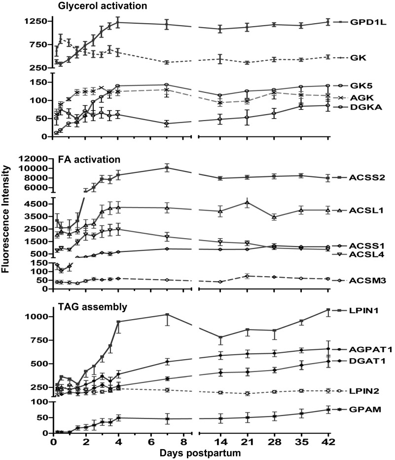 Fig. 4.