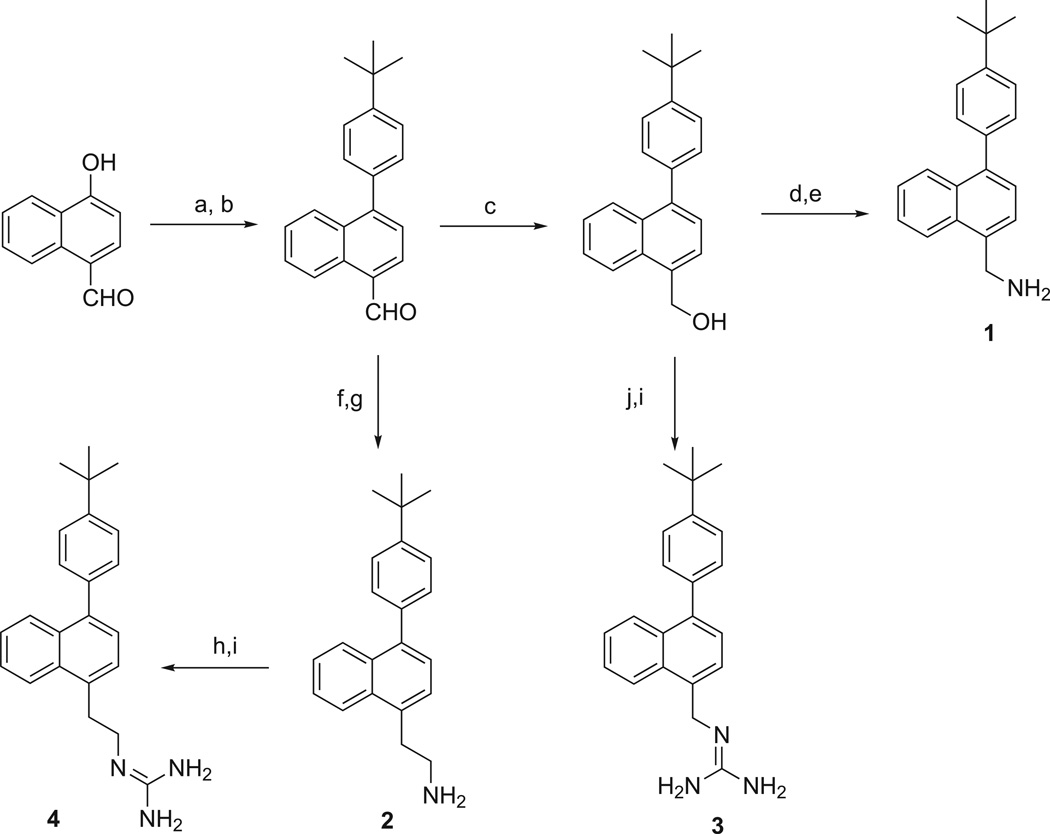 Scheme 1