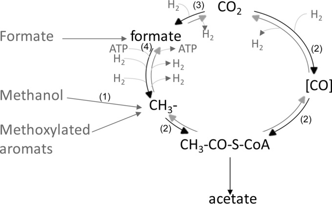 FIG 1