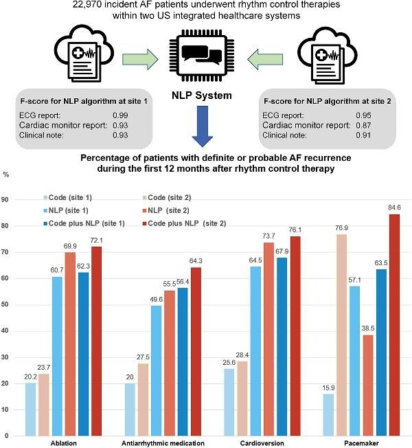 Graphical Abstract