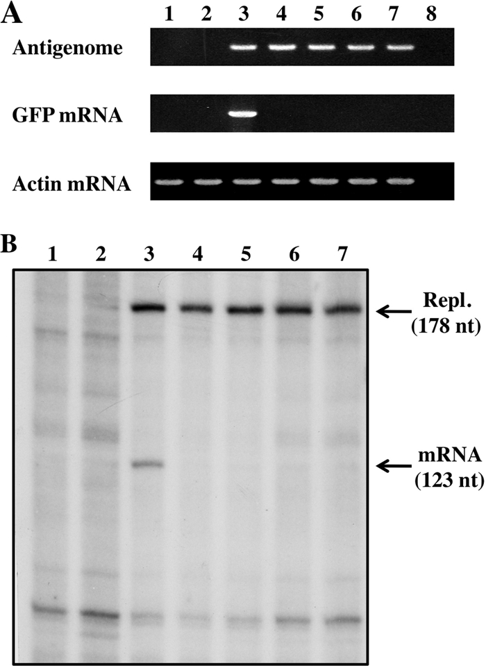 FIG. 7.