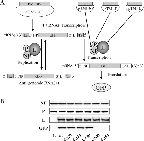 FIG. 3.