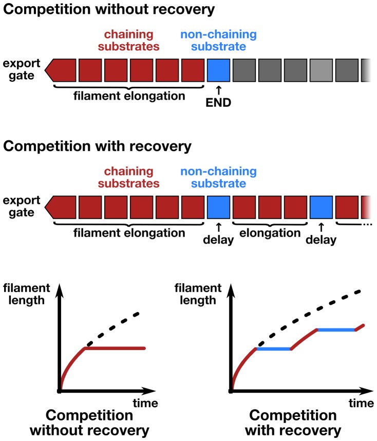 Figure 5—figure supplement 2.